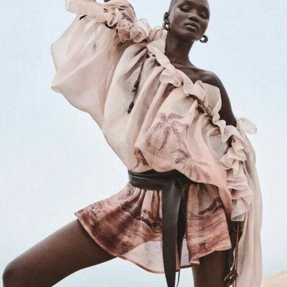 Zimmermann Illuminate Mini Dress 0 US 2, 4 | Rust Seascape 2025 Runway NWT $2265 - Picture 3 of 13